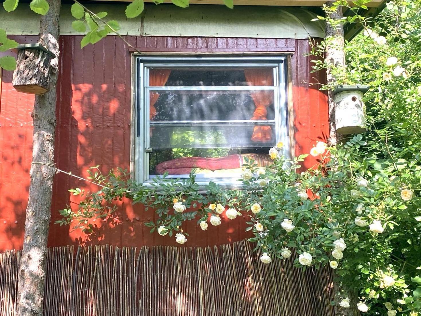 Kuscheliger Zirkuswagen Im Wildgarten Witzenhausen Buitenkant foto