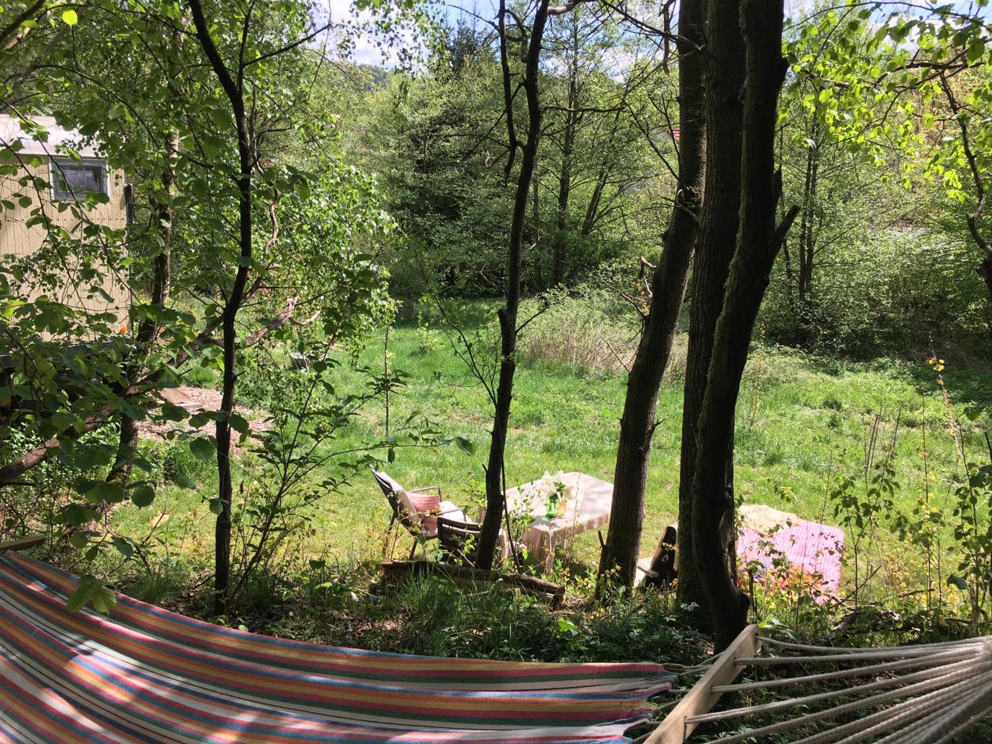 Kuscheliger Zirkuswagen Im Wildgarten Witzenhausen Buitenkant foto