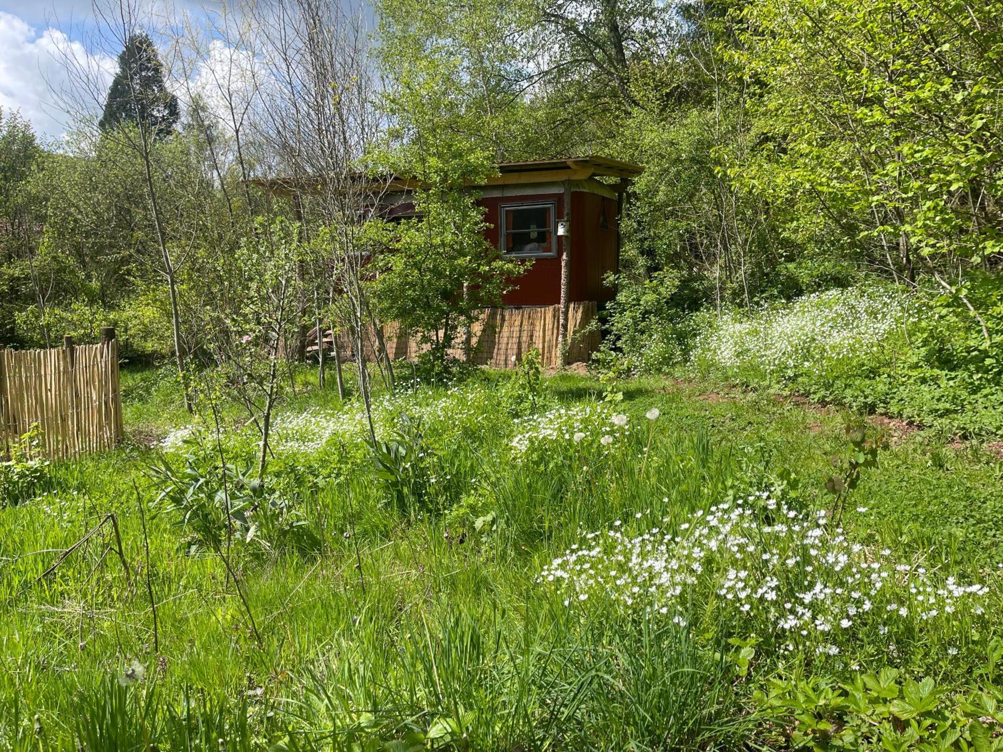 Kuscheliger Zirkuswagen Im Wildgarten Witzenhausen Buitenkant foto
