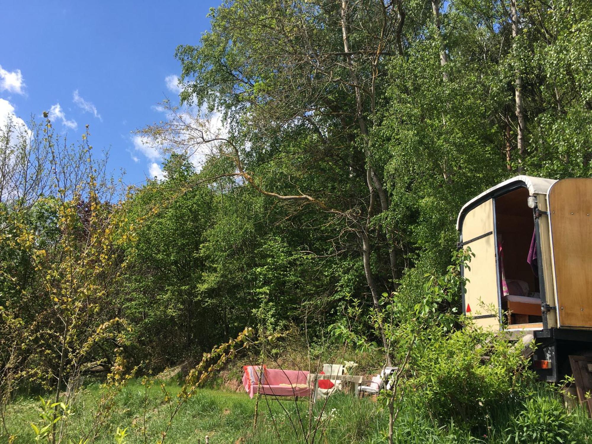 Kuscheliger Zirkuswagen Im Wildgarten Witzenhausen Buitenkant foto